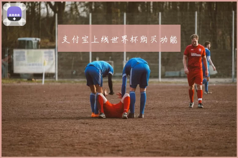 支付宝上线世界杯购买功能