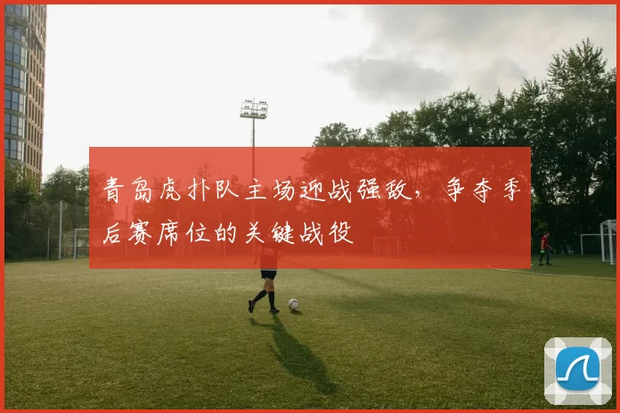 青岛虎扑队主场迎战强敌,争夺季后赛席位的关键战役