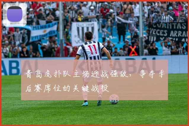 青岛虎扑队主场迎战强敌,争夺季后赛席位的关键战役