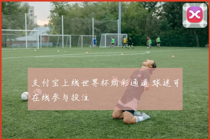 支付宝上线世界杯购彩通道 球迷可在线参与投注