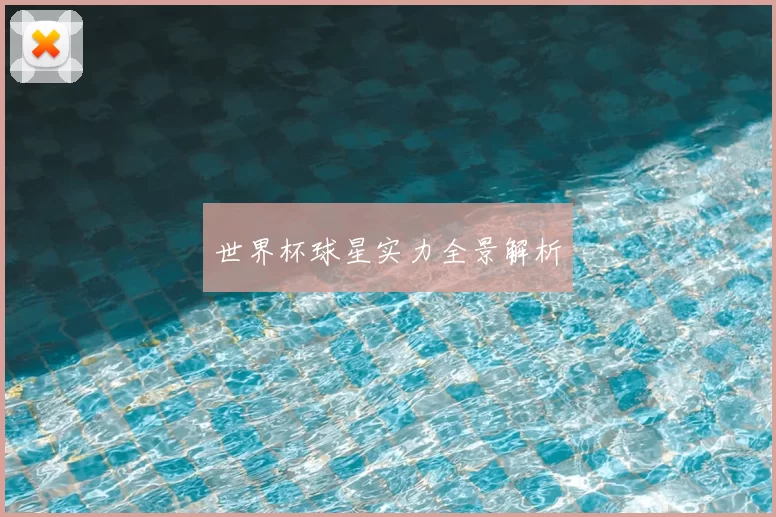 世界杯球星实力全景解析
