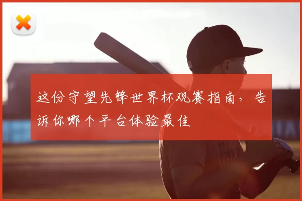 这份守望先锋世界杯观赛指南，告诉你哪个平台体验最佳