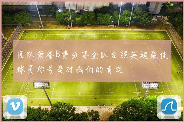 团队荣誉B费分享全队合照英超最佳球员称号是对我们的肯定